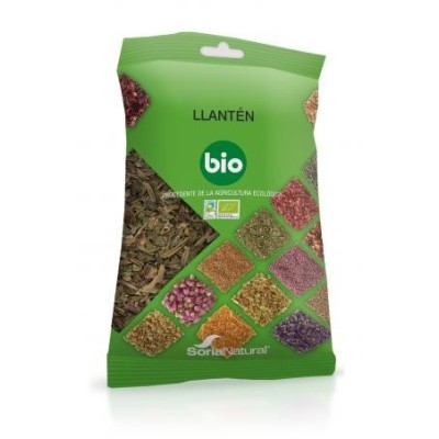 Llanten soria natural