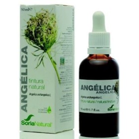 Extracto de angelica soria natural