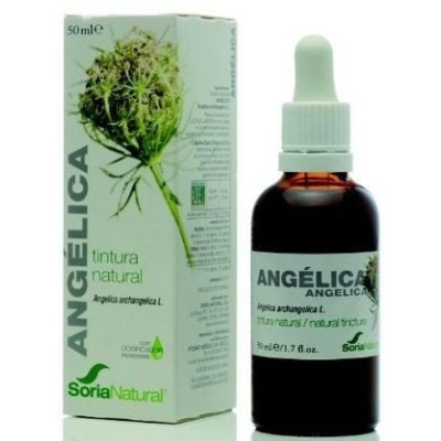 Extracto de angelica soria natural