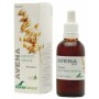 Extracto de avena soria natural