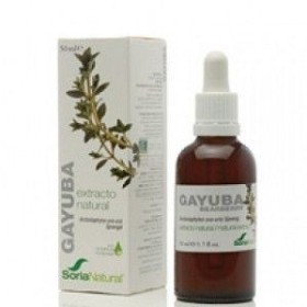 Extracto de gayuba soria natural