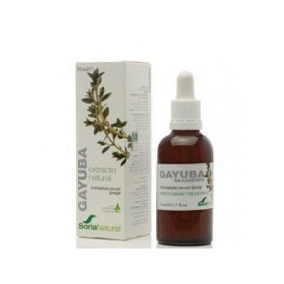Extracto de gayuba soria natural