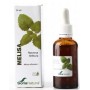 Extracto de melisa soria natural