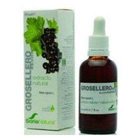 Extracto de grosellero negro soria natural