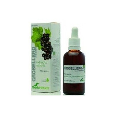 Extracto de grosellero negro soria natural