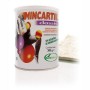 Mincartilsoria natural