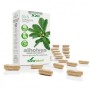 Capsulas 3s alholvas liberacion prolongada soria natural