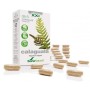 Capsulas 4s calaguala liberacion prolongada soria natural