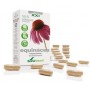 Capsulas 16s equinacea liberacion prolongada soria natural