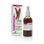 Composor 6 - eleuthero complex xxi soria natural