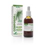 Composor 10 - sabal complex xxi soria natural