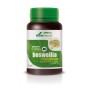 Green vit  min 09 boswelia mg dose soria natural