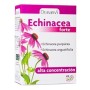 Echinacea forte 45 caps