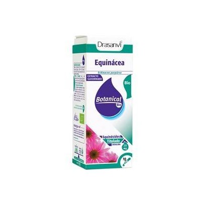 Botanical bio - glicerinado echinacea
