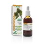 Composor 19 - depulan xxi soria natural