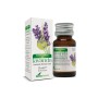 Esencia de lavanda soria natural
