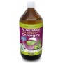 Aloe vera ecologico