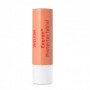 Protector labial everon