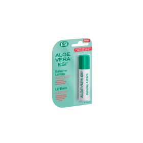 Aloe vera stick labiosesi trepat diet