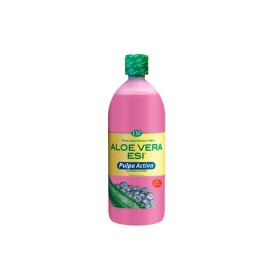 Zumo pulpa activa mirtilo(1l ) esi trepat diet