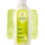 Champu mijo nutritivo 190 ml weleda