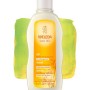 Champu avena reparador 190 ml weleda
