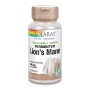Melena de leon (lion's mane) 500 mg- 60 cáspulas vegetales solaray