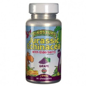 Jurassic echinacea- 30 dinosaurios masticables kal