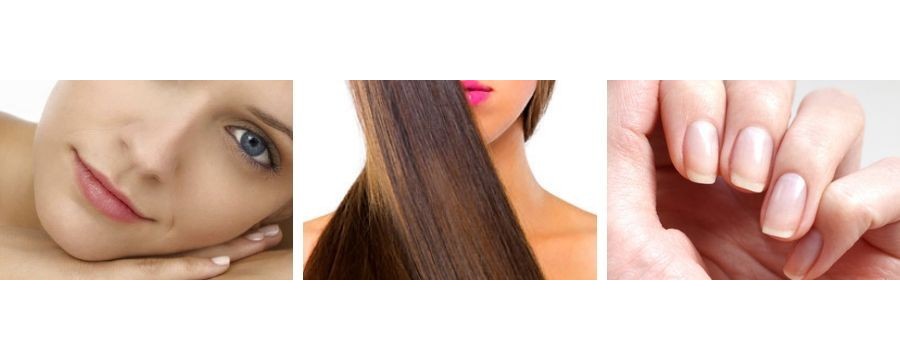 Piel, pelo y uñas
