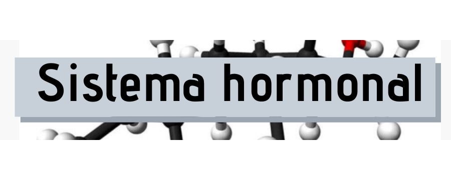 Sistema hormonal