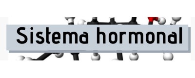 Sistema hormonal